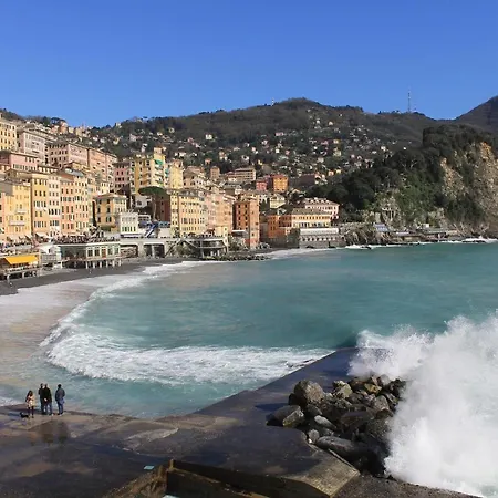 Fattorialmare Blu Camogli