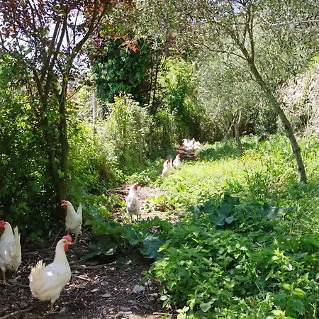 Apartamento Fattorialmare Blu *