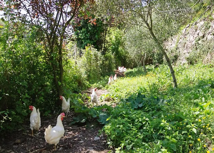 Apartment Fattorialmare Blu *